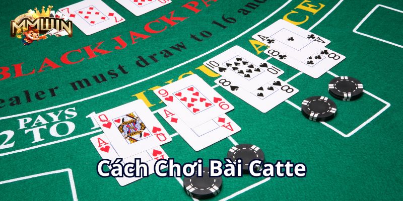 cach-choi-bai-catte-800x400