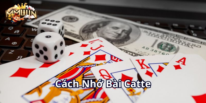 cach-nho-bai-catte-800x400