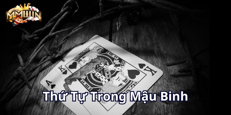 thu-tu-trong-mau-binh-800x400