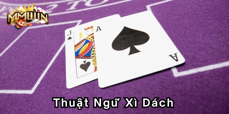 thuat-ngu-xi-dachx800-400