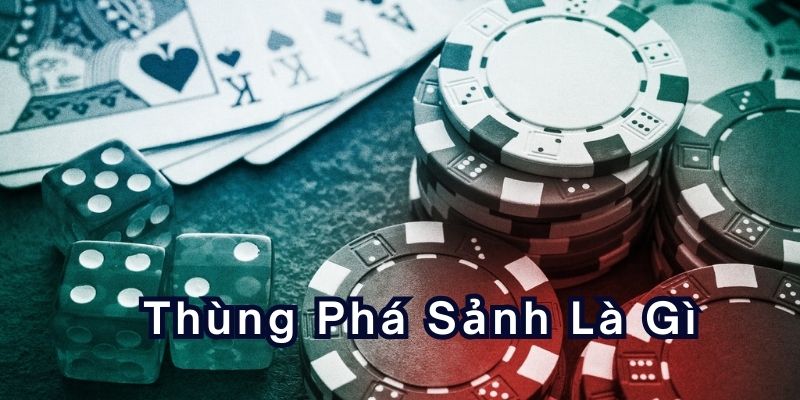 thung-pha-sanh-la-gi-800x400